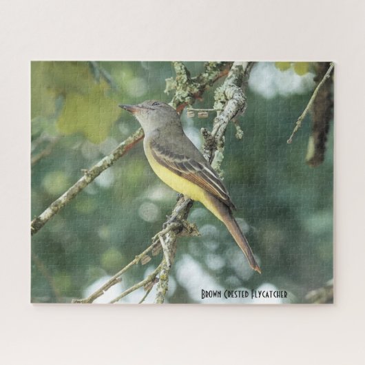Brown Crested Flycatcher, Vogelliebhaber Puzzle (Horizontal)