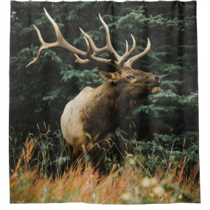 BROWN DEER AUF GRÜNEN GRAS WÄHREND DES TAGES DUSCHVORHANG