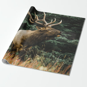 BROWN DEER AUF GRÜNEN GRAS WÄHREND DES TAGES GESCHENKPAPIER