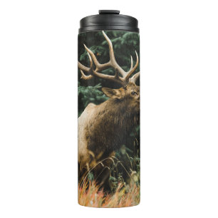 BROWN DEER AUF GRÜNEN GRAS WÄHREND DES TAGES THERMOSBECHER