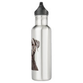 Brown Dog Aesthetic water bottle – Cozy Pet Lover  Edelstahlflasche (Rechts)
