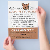 Brown Dog, Veterinary, Veterinary Service Flyer (Hand)