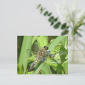 Brown Dragonfly DIY Postkarte (Stehend Vorderseite)