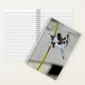 Brown Dragonfly Notebook Journal Notizblock (Innen)