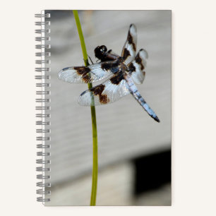 Brown Dragonfly Notebook Journal Notizblock