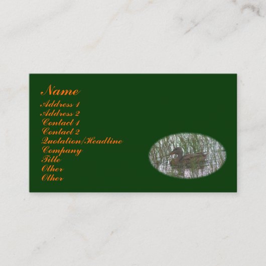 Brown Duck Animal Business Card Visitenkarte (Vorderseite)