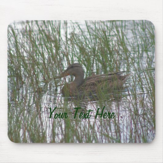 Brown Duck Nature Photography Mousepad (Vorne)