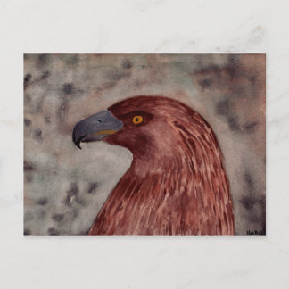 Brown Eagle Postkarte