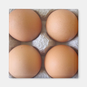 Brown Eggs Magnet