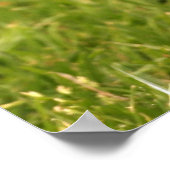 Brown Eichhörnchen Poster (Ecke)