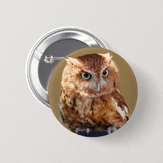 Brown-Eule Button (Vorne & Hinten)