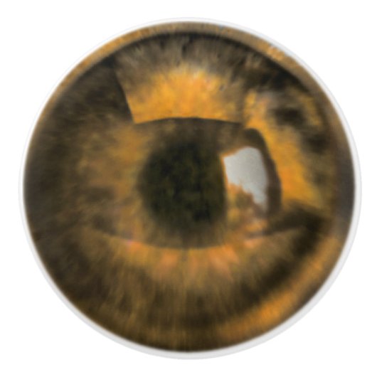 Brown Eyeball Keramikknauf (Vorderseite)