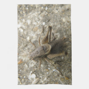 Brown Field Cricket Kitchtuch Geschirrtuch