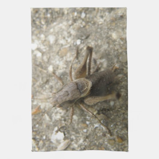 Brown Field Cricket Kitchtuch Geschirrtuch (Vertikal)