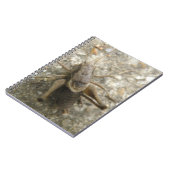 Brown Field Cricket Notebook Notizblock (Linke Seite)