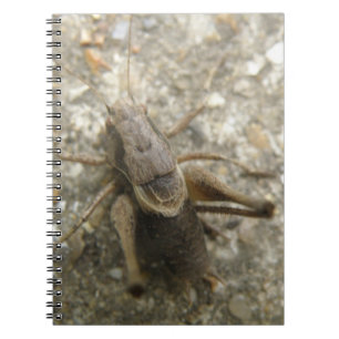 Brown Field Cricket Notebook Notizblock