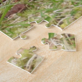Brown Fluffy wild Bunny Rabbit beten Puzzle (Seite)