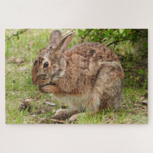 Brown Fluffy wild Bunny Rabbit beten Puzzle