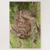 Brown Fluffy wild Bunny Rabbit beten Puzzle (Vertikal)