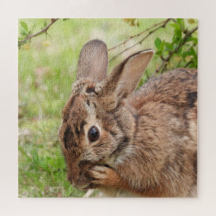 Brown Fluffy wild Bunny Rabbit OH MY Puzzle