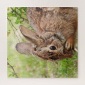 Brown Fluffy wild Bunny Rabbit OH MY Puzzle (Vertikal)