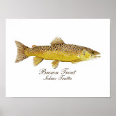 Brown Foreut Art Poster (Vorne)