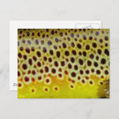 Brown Foreut by PatternWear© Postkarte (Vorne/Hinten)