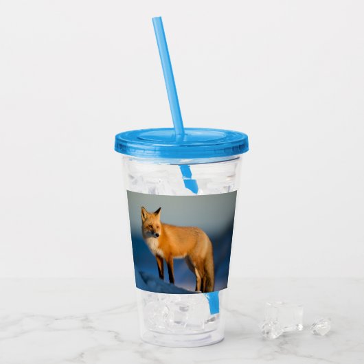 Brown Fox Acryltrinkbecher (Vorderseite Ice)