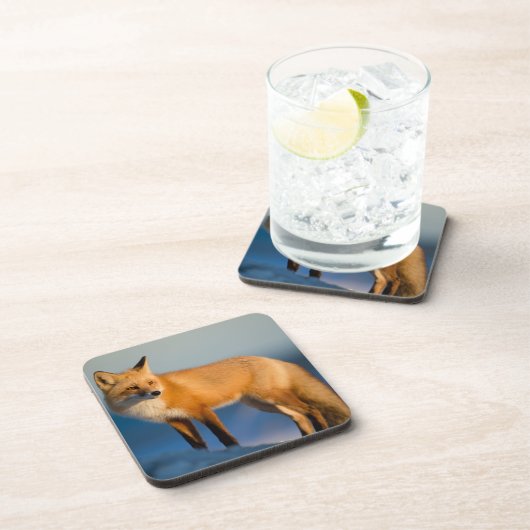 Brown Fox Beverage Coaster Getränkeuntersetzer (Rechte Seite)