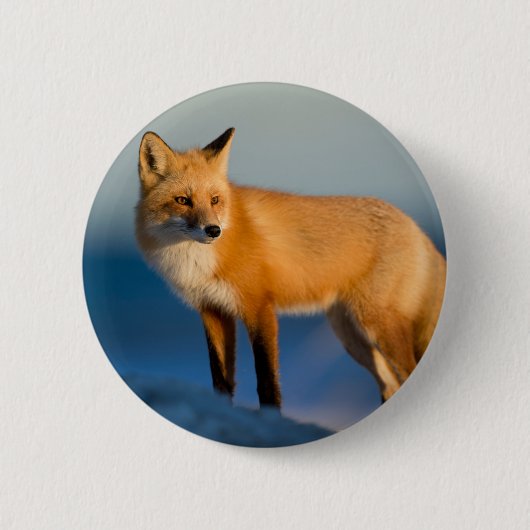 Brown Fox Button (Vorderseite)