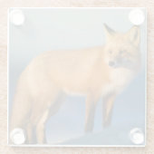 Brown Fox Glasuntersetzer (Rückseite)