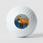 Brown Fox Golfball (Vorderseite)