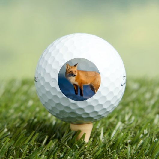 Brown Fox Golfball (Insitu T-Shirt)