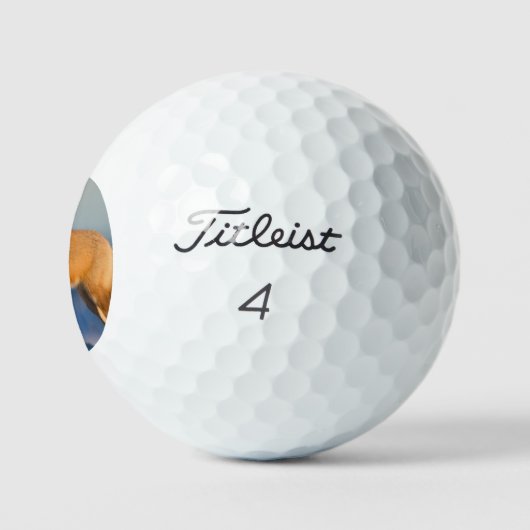 Brown Fox Golfball (Logo)