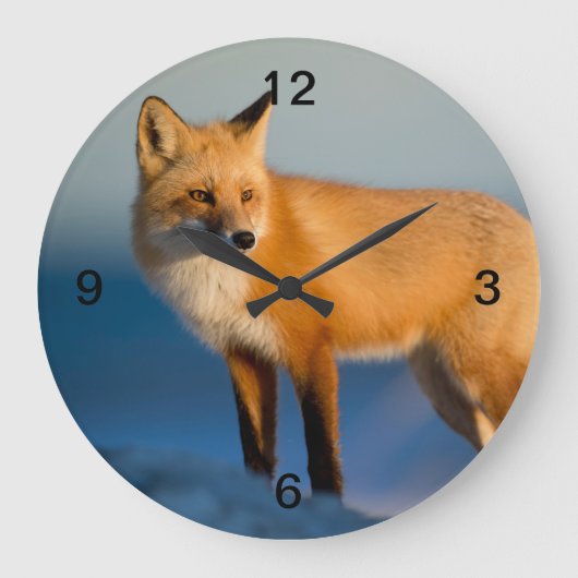 Brown Fox Große Wanduhr (Vorderseite)