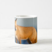 Brown Fox Kaffeetasse (Mittel)