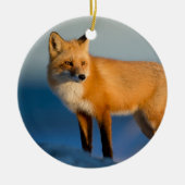 Brown Fox Keramik Ornament (Vorne)