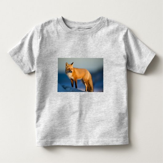 Brown Fox Kleinkind T - Shirt (Vorderseite)