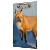 Brown Fox Klemmbrett (Links)