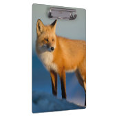 Brown Fox Klemmbrett (Rechts)