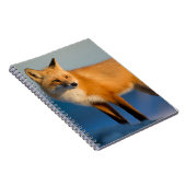 Brown Fox-Notebook Notizblock (Rechte Seite)