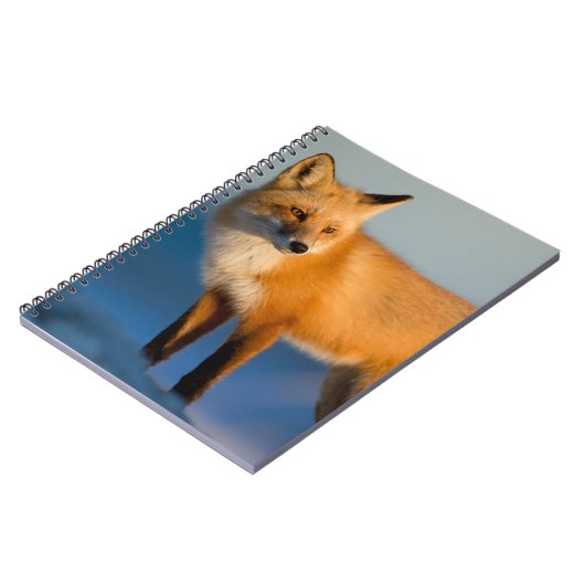 Brown Fox-Notebook Notizblock (Linke Seite)