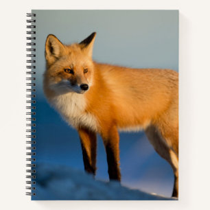 Brown Fox Notizblock