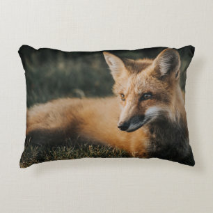 BROWN FOX ON GROUND DEKOKISSEN