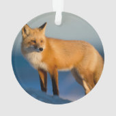 Brown Fox Ornament (Rückseite)