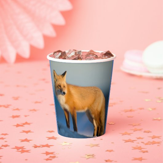 Brown Fox Pappbecher (Insitu)