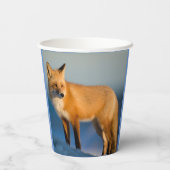 Brown Fox Pappbecher (Rückseite)