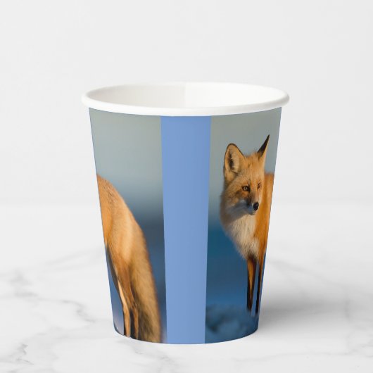 Brown Fox Pappbecher (Links)