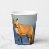 Brown Fox Pappbecher (Vorderseite)