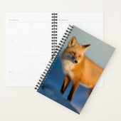 Brown Fox Planer (Anzeige)